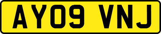 AY09VNJ