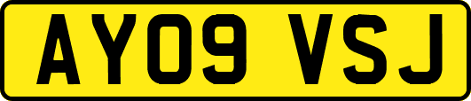 AY09VSJ