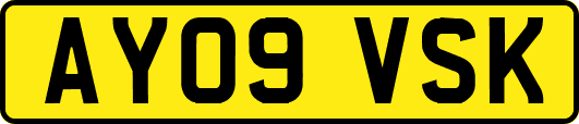 AY09VSK