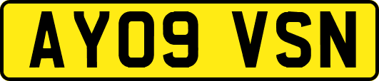 AY09VSN