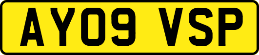 AY09VSP