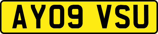 AY09VSU