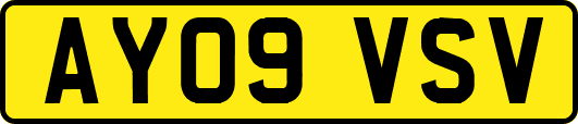 AY09VSV