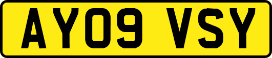 AY09VSY