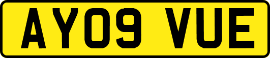 AY09VUE
