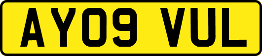 AY09VUL