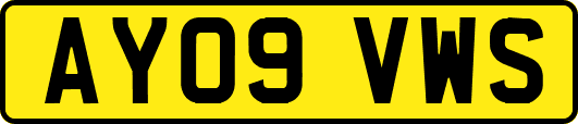AY09VWS