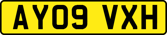 AY09VXH