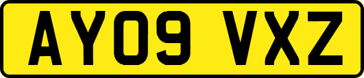 AY09VXZ