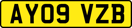 AY09VZB
