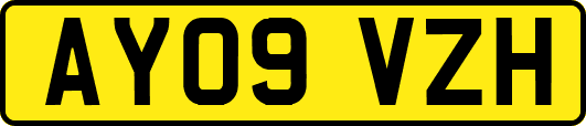 AY09VZH