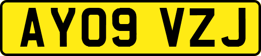 AY09VZJ