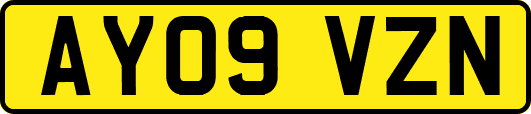 AY09VZN