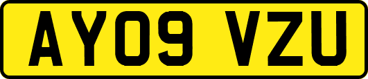 AY09VZU