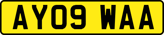 AY09WAA