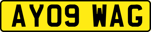 AY09WAG