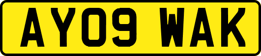AY09WAK