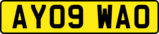 AY09WAO