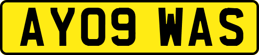 AY09WAS