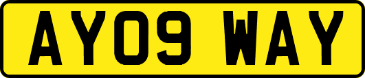 AY09WAY