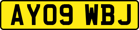 AY09WBJ