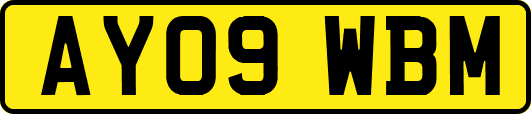 AY09WBM