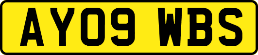AY09WBS