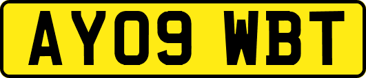 AY09WBT