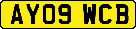 AY09WCB