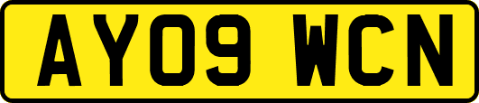AY09WCN