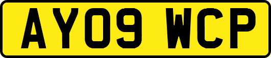 AY09WCP