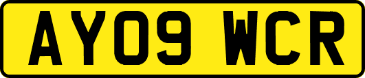 AY09WCR