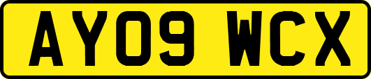 AY09WCX