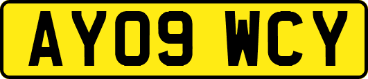AY09WCY