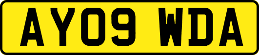 AY09WDA