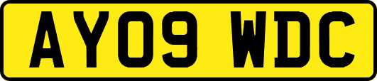 AY09WDC