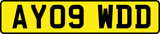 AY09WDD