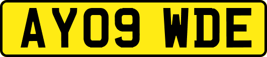 AY09WDE