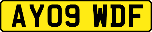 AY09WDF