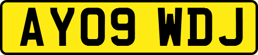 AY09WDJ