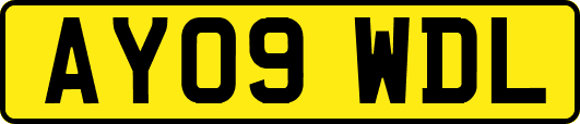 AY09WDL