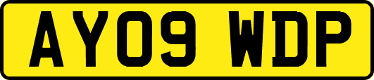 AY09WDP