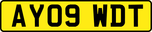 AY09WDT