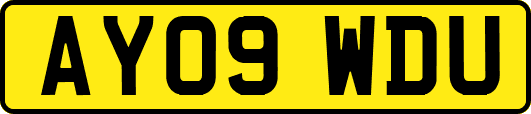 AY09WDU