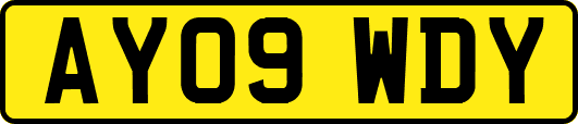 AY09WDY