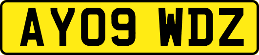 AY09WDZ