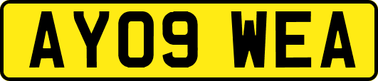 AY09WEA
