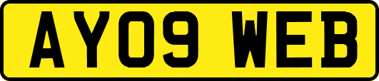 AY09WEB