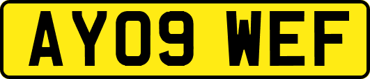 AY09WEF