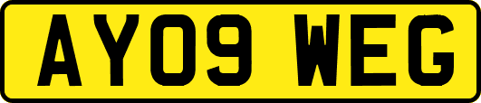AY09WEG